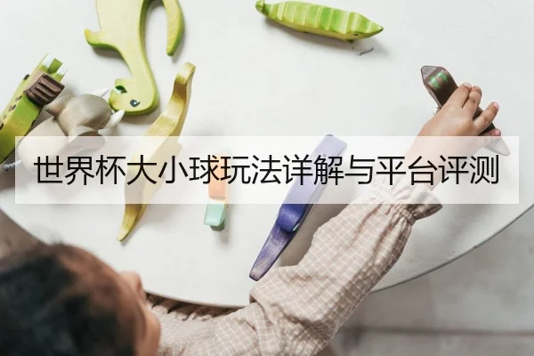 世界杯大小球玩法详解与平台评测