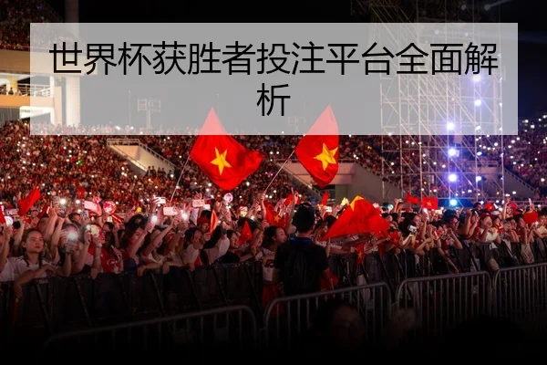 世界杯获胜者投注平台全面解析