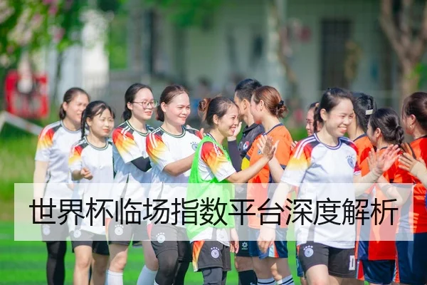 世界杯临场指数平台深度解析
