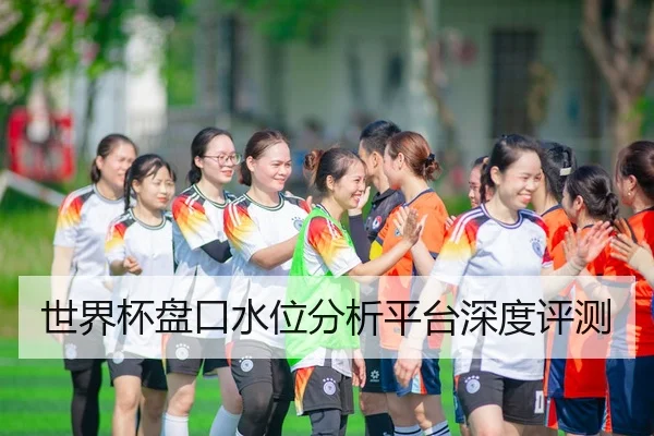 世界杯盘口水位分析平台深度评测