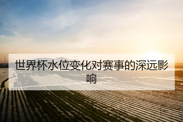 世界杯水位变化对赛事的深远影响
