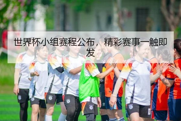 世界杯小组赛程公布，精彩赛事一触即发