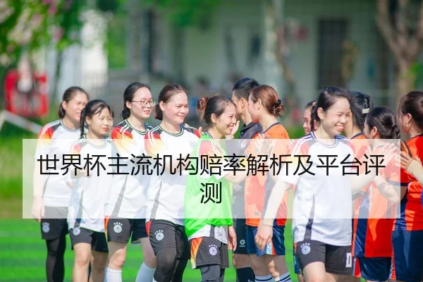 世界杯主流机构赔率解析及平台评测